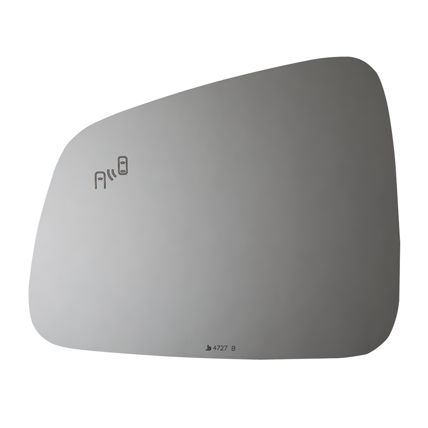 SIDE VIEW MIRROR W BLIND SPOT